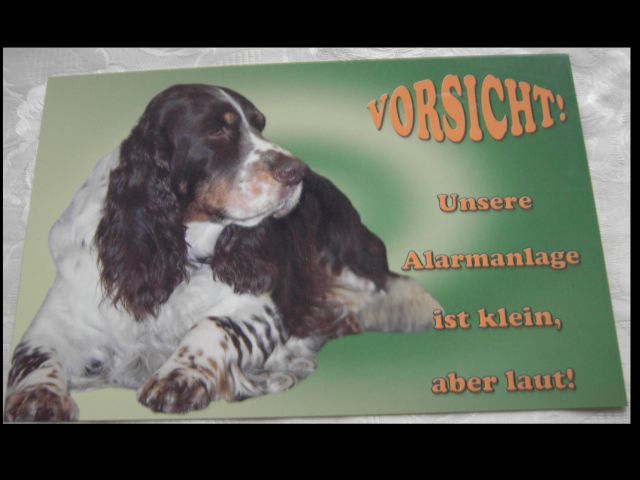 133 Warnschild 35x20 cm Engl.Springer Spaniel